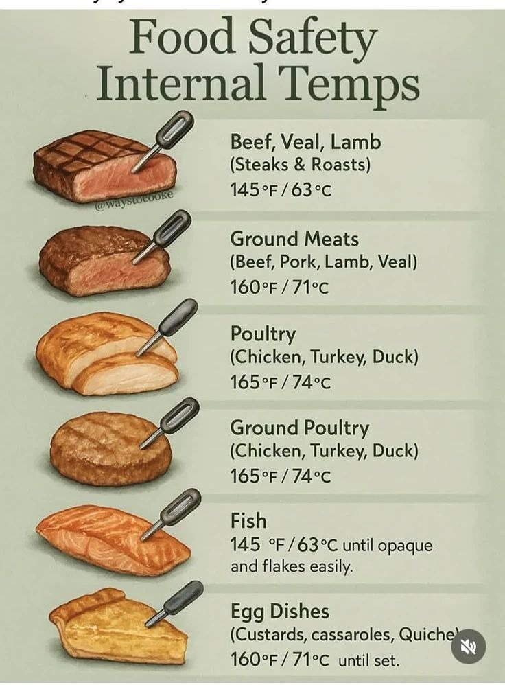Food Safety Internal Temperatures reference chart — Beef, Ground Meats, Poultry, Ground Poultry, Fish, Egg Dishes