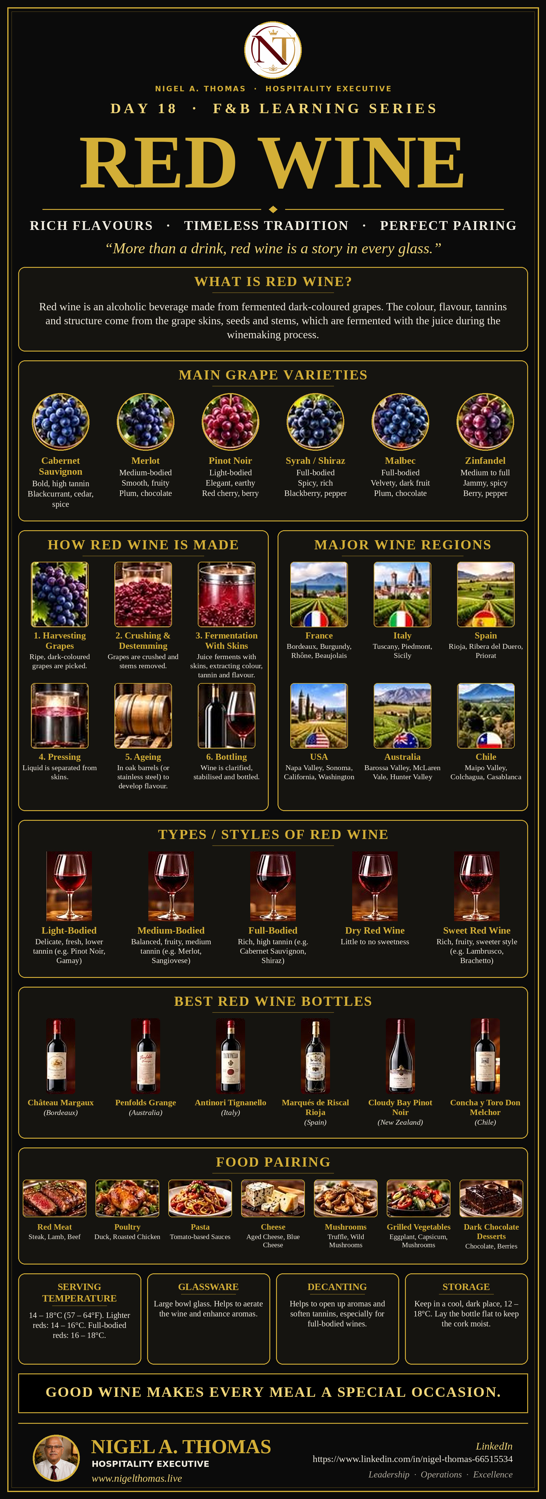 Red Wine Day 18 infographic poster by Nigel A. Thomas covering grape varieties, how red wine is made, regions, styles, bottles, food pairing and serving
