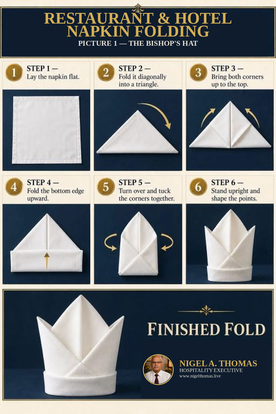 Restaurant and Hotel Napkin Folding infographic